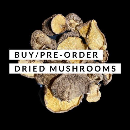 Dried Mushrooms