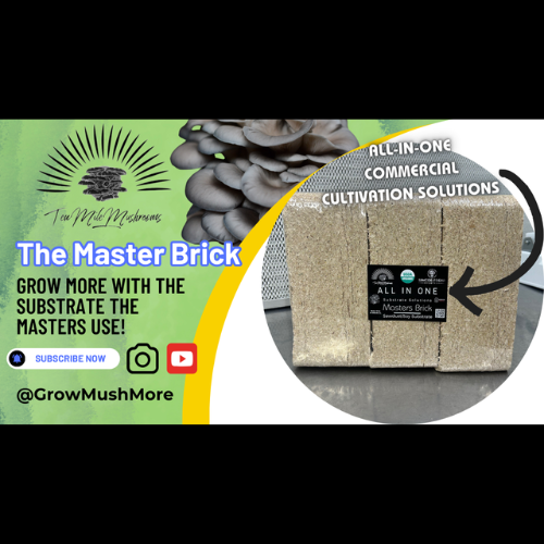 6 Pack Trial Master Bricks™ - Image 4