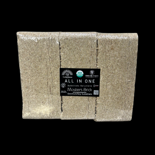 6 Pack Trial Master Bricks™