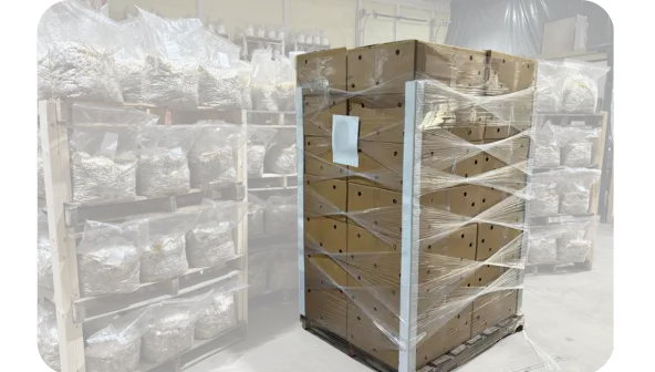 commercial mushrooms from Ten Mile Mushrooms wrapped and ready to ship