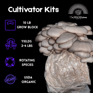 Cultivator  Pack Grow Kit Mushrooms
