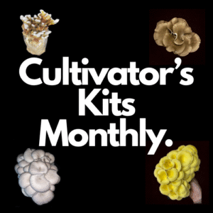 4 Pack Cultivator's Kit - One a week!