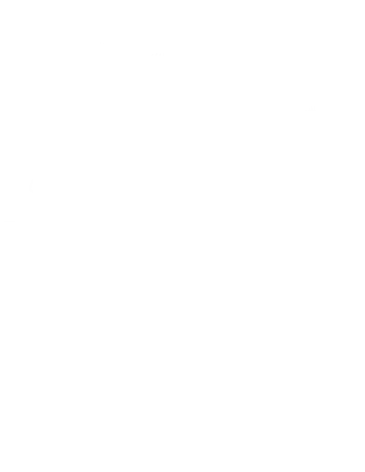 Ten Mile Mushroom Bouquet